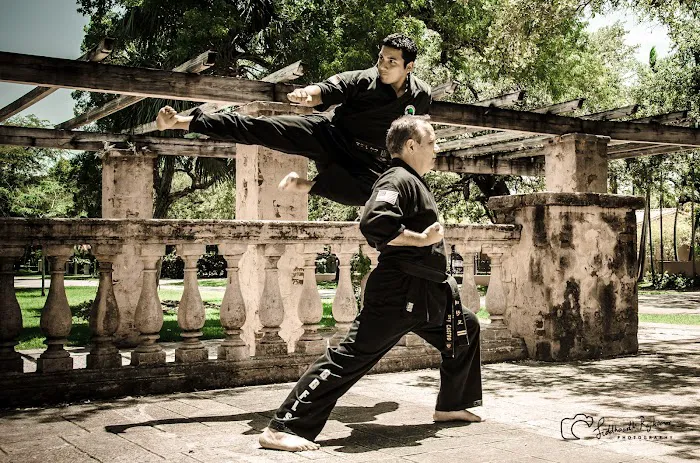 Black Belt For Life Studios Picture 7