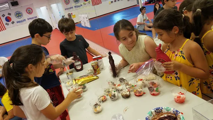USA Tae Kwon Do School Picture 4