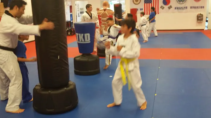 USA Tae Kwon Do School Picture 7
