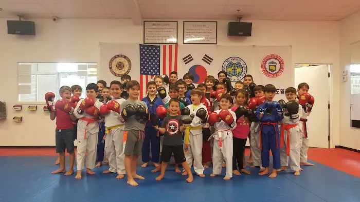 USA Tae Kwon Do School Picture 8
