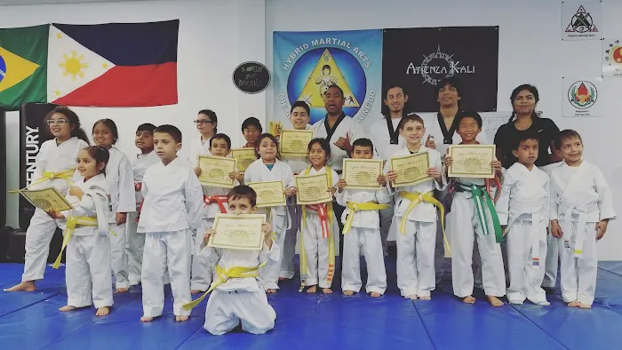 Hybrid Martial Arts Picture 2