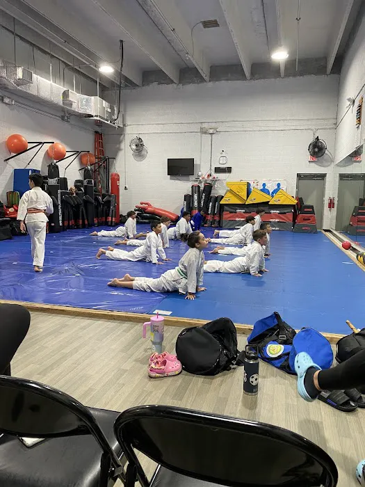 Hybrid Martial Arts Picture 3