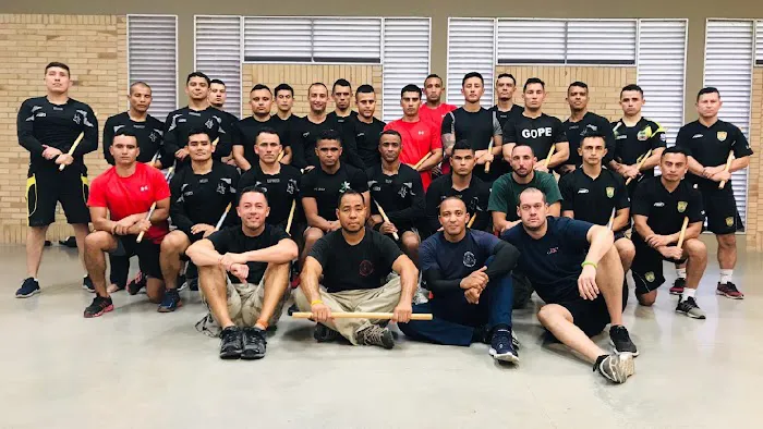 Hybrid Martial Arts Picture 7