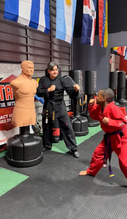 CTA Martial Arts Picture 6