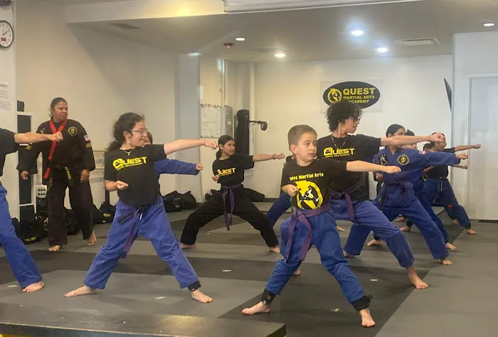 Quest Martial Arts Academy Picture 5
