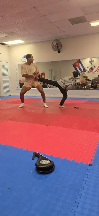 COBAS TAEKWONDO Picture 1