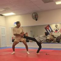 COBAS TAEKWONDO ico
