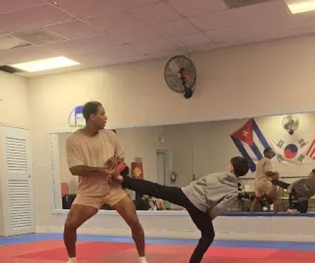 COBAS TAEKWONDO