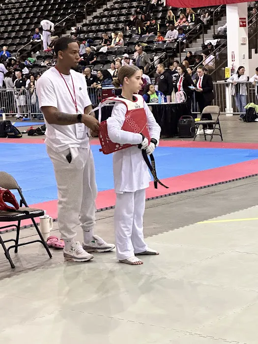 COBAS TAEKWONDO Picture 2