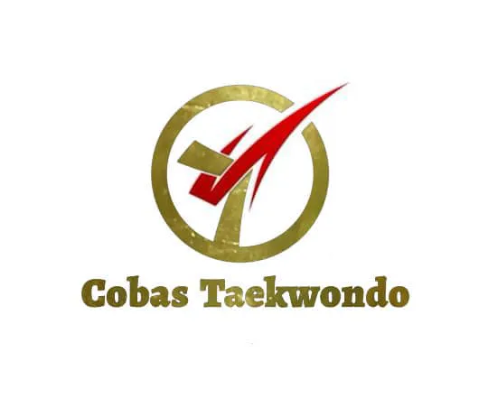 COBAS TAEKWONDO Picture 3