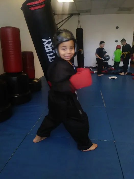 Young Dragon Academy Picture 2