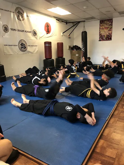 Young Dragon Academy Picture 1