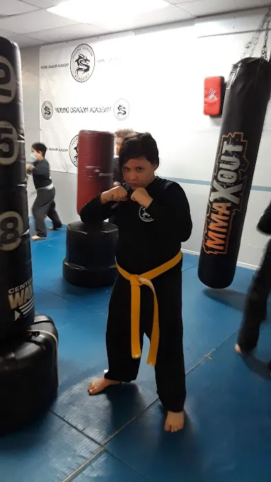 Young Dragon Academy Picture 3