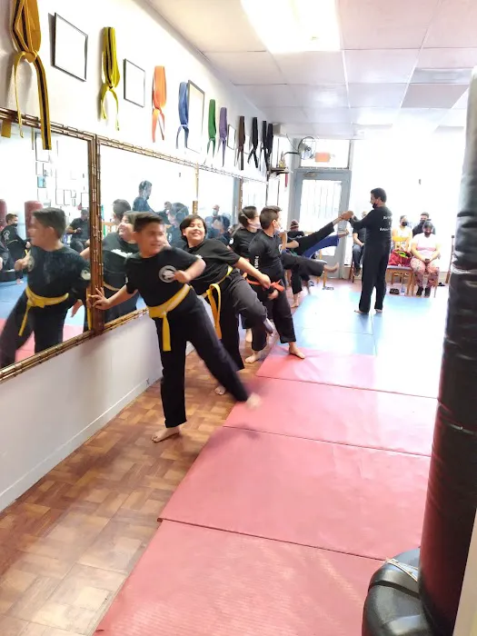 Young Dragon Academy Picture 5