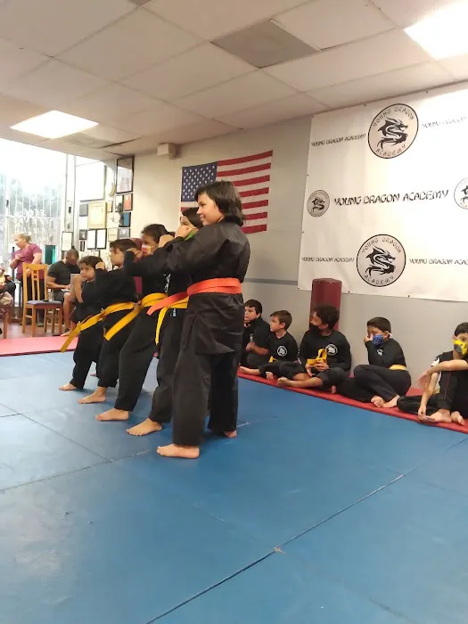 Young Dragon Academy Picture 6