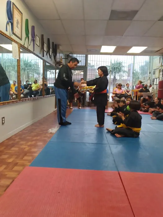 Young Dragon Academy Picture 7