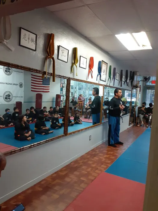 Young Dragon Academy Picture 10