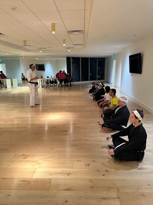 Ronin Kai karate Miami Picture 2