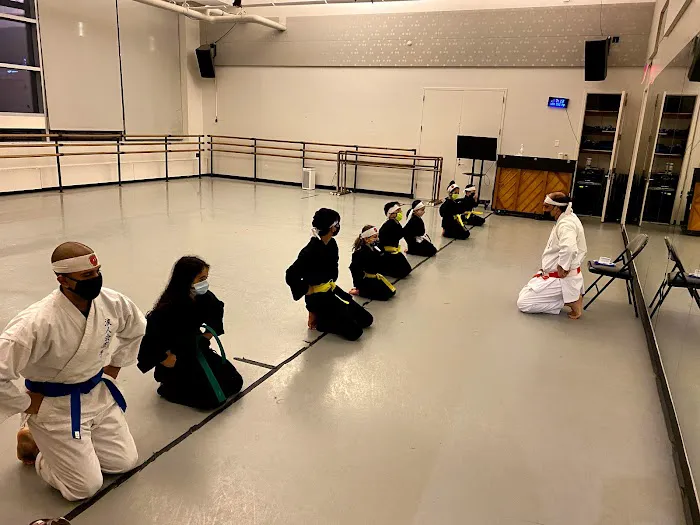 Ronin Kai karate Miami Picture 3