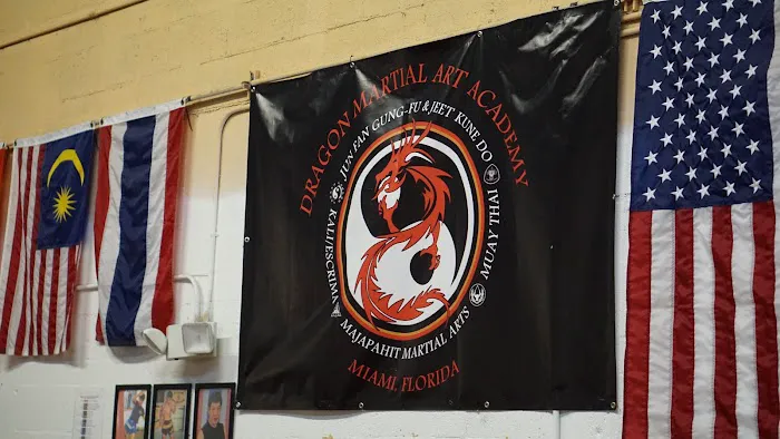 Dragon Martial Art Academy Picture 4