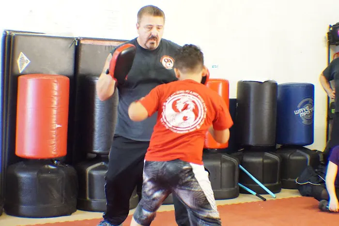 Dragon Martial Art Academy Picture 3