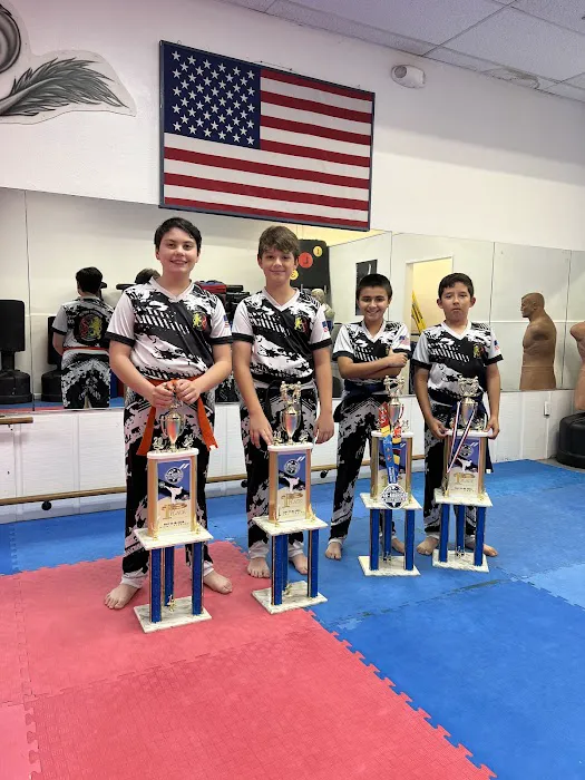 Dragons United Martial Arts Academy Picture 3