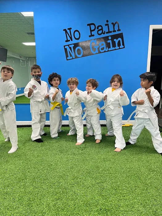 Dragons United Martial Arts Academy Picture 7