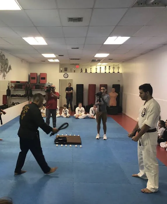 Dragons United Martial Arts Academy Picture 6
