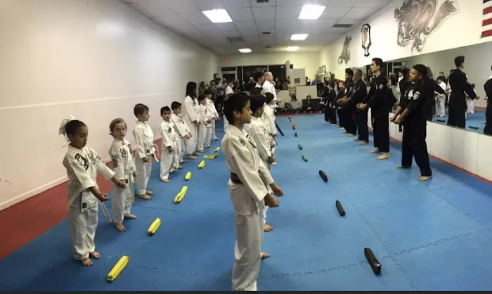 Dragons United Martial Arts Academy Picture 5