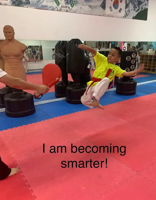 Nam's Tae Kwon Do Academy Picture 9