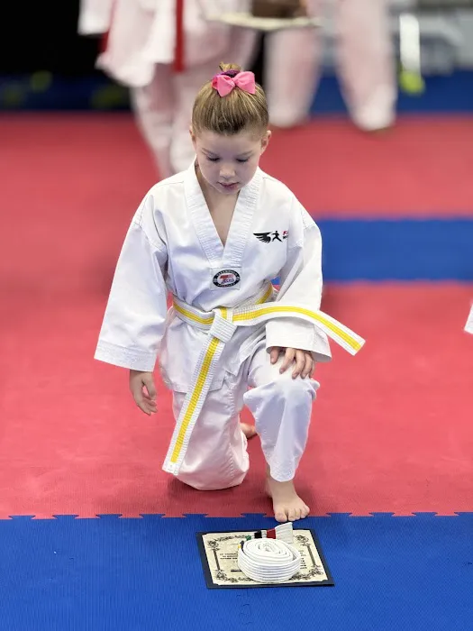 Falcon Warriors Taekwondo Academy Picture 2