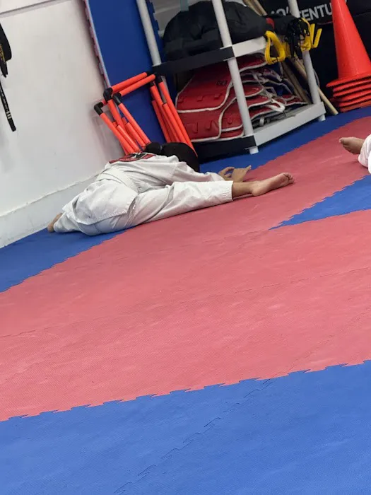 Falcon Warriors Taekwondo Academy Picture 1