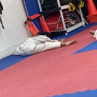 Falcon Warriors Taekwondo Academy ico