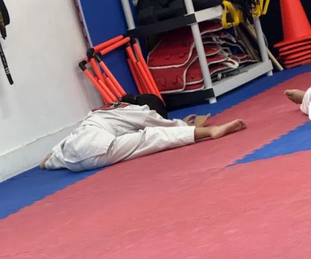 Falcon Warriors Taekwondo Academy