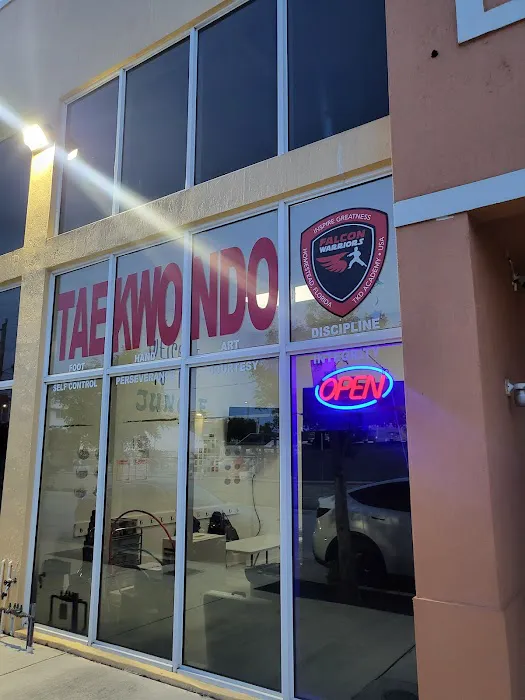 Falcon Warriors Taekwondo Academy Picture 3