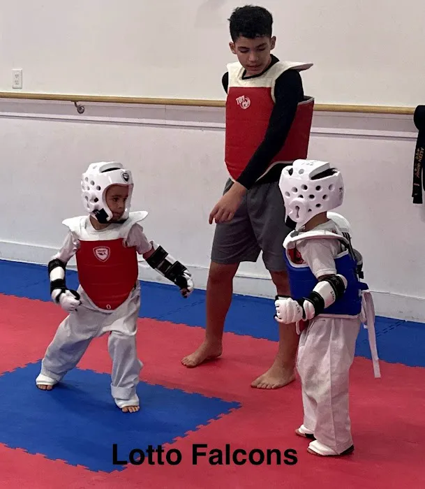 Falcon Warriors Taekwondo Academy Picture 7