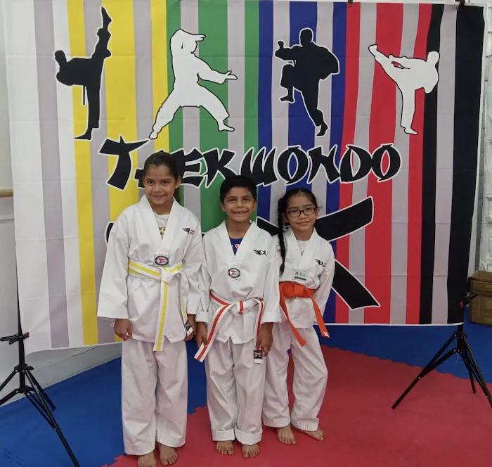 Falcon Warriors Taekwondo Academy Picture 8
