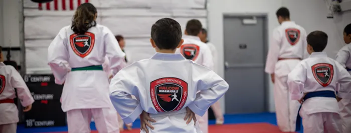 Falcon Warriors Taekwondo Academy Picture 10