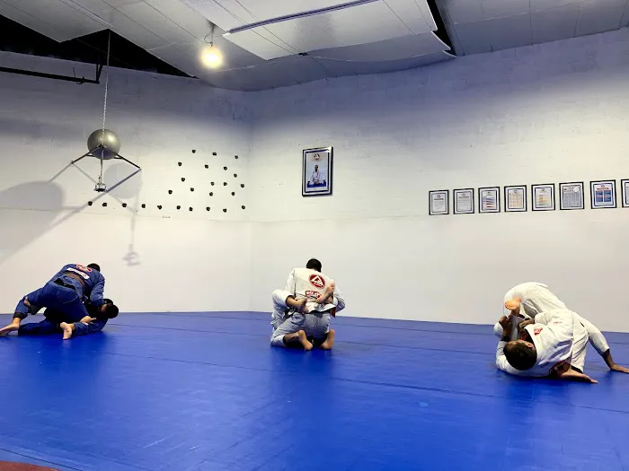 Renzo Gracie Academy Doral Brazilian Jiu - Jitsu Picture 8