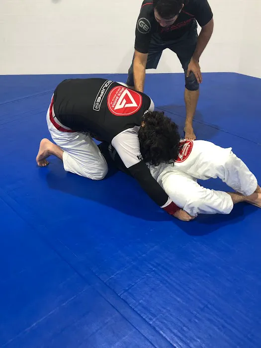 Renzo Gracie Academy Doral Brazilian Jiu - Jitsu Picture 6