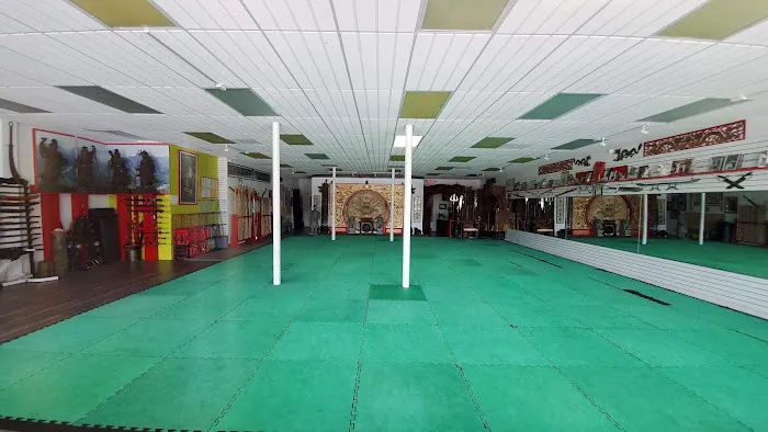 The Kung Fu Connection Picture 1