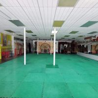 The Kung Fu Connection ico