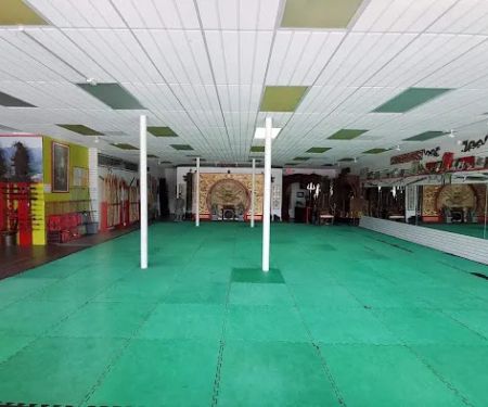 The Kung Fu Connection