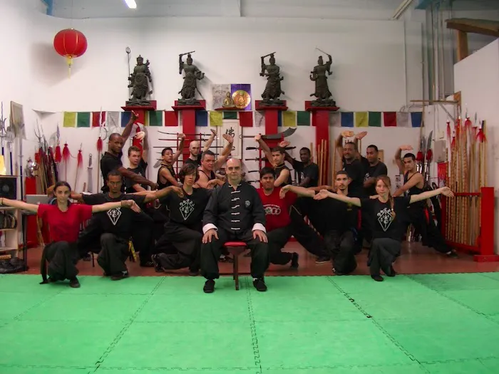 The Kung Fu Connection Picture 3