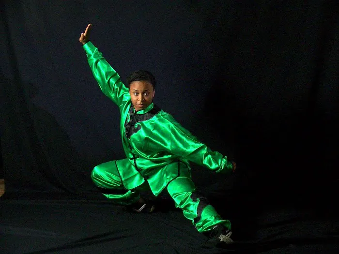 The Kung Fu Connection Picture 5