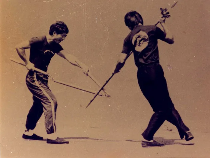 The Kung Fu Connection Picture 4