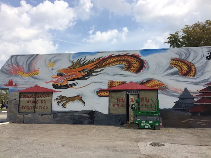 The Kung Fu Connection Picture 7