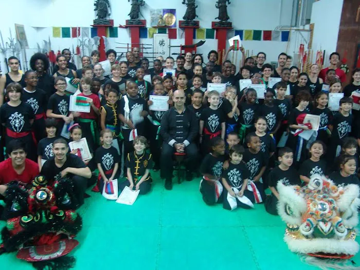 The Kung Fu Connection Picture 8