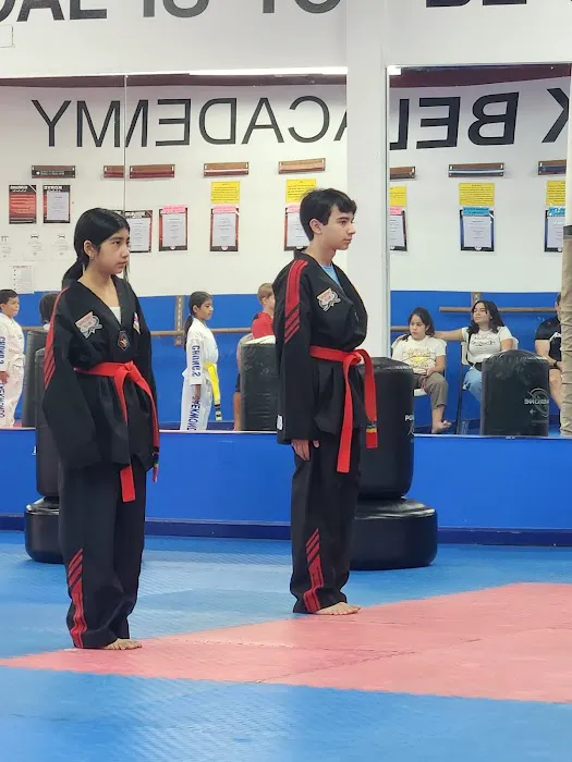 Chungs Tae Kwon Do Miami Picture 3