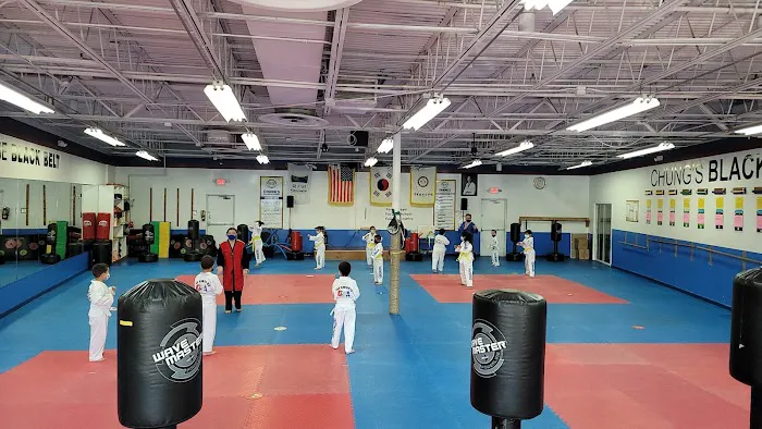 Chungs Tae Kwon Do Miami Picture 6